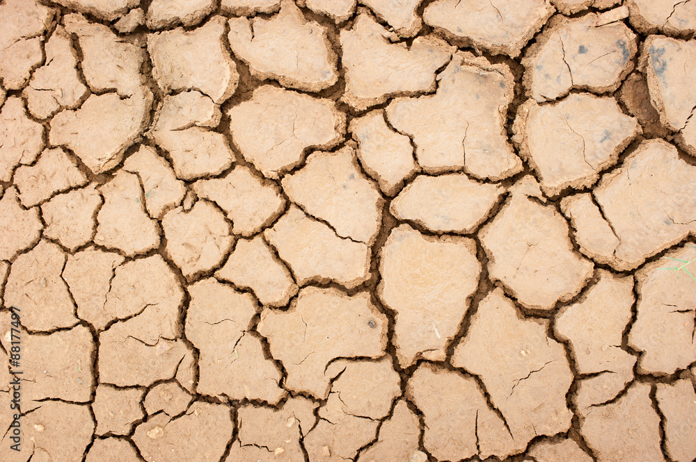 dry soil texture background dry soil texture background