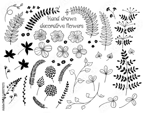 Doodle plants and flowers collection