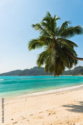 Tropical beach at Mahe island Seychelles