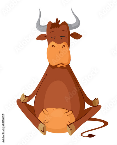 meditating cow