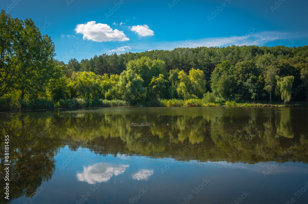 Pond on a sunny day Pond on a sunny day