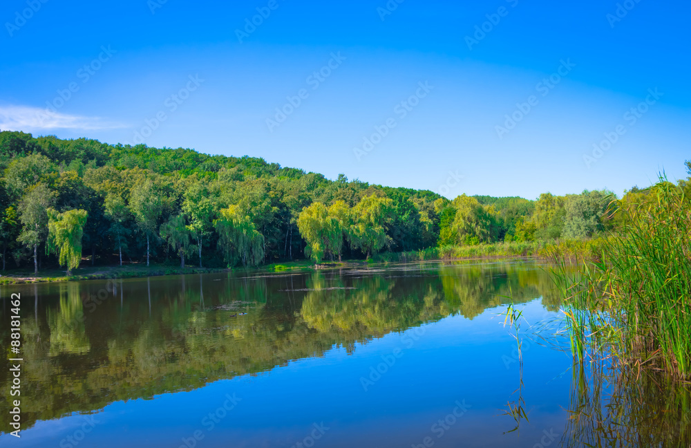 Obraz premium Pond on a sunny day