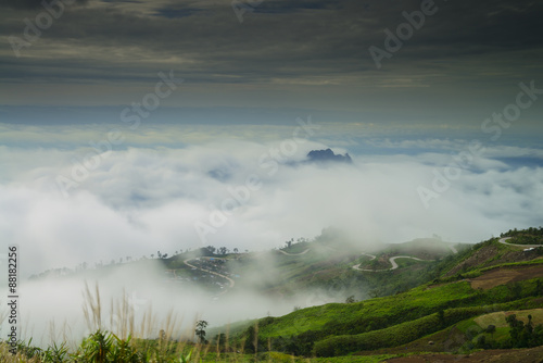 Beautiful flowing fog on the mountain.