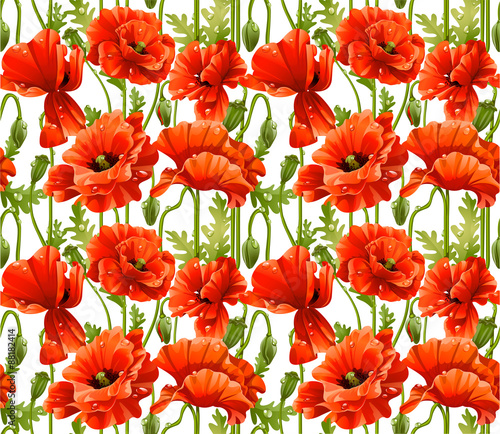 Big seamless pattern of red poppies realistic