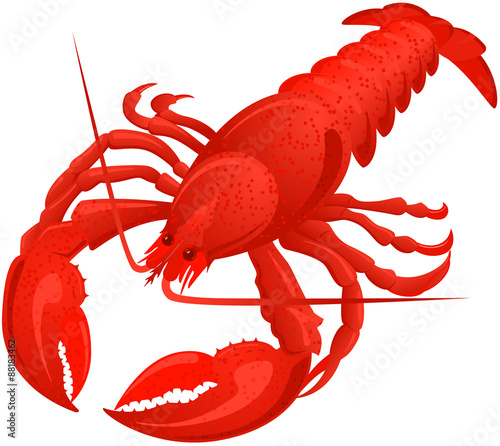 Lobster
