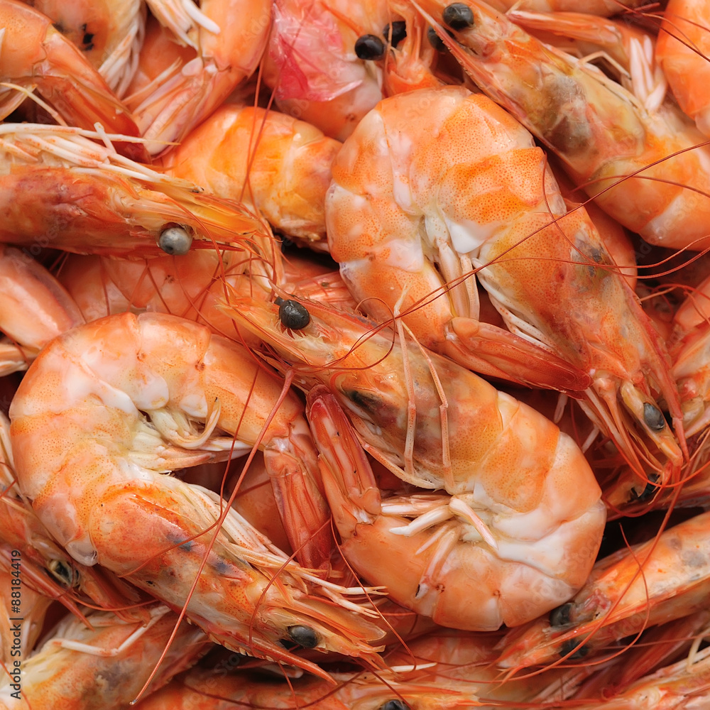 Fresh shrimp