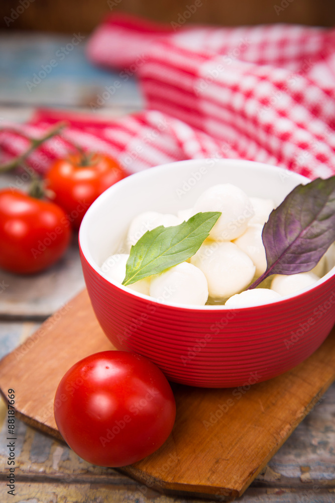 mozzarella mozzarella