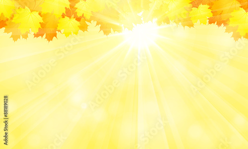 Autumn background.Yellow maple leaves and the sun.
