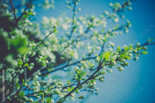 Retro Spring Blooming Trees © AnnaPa