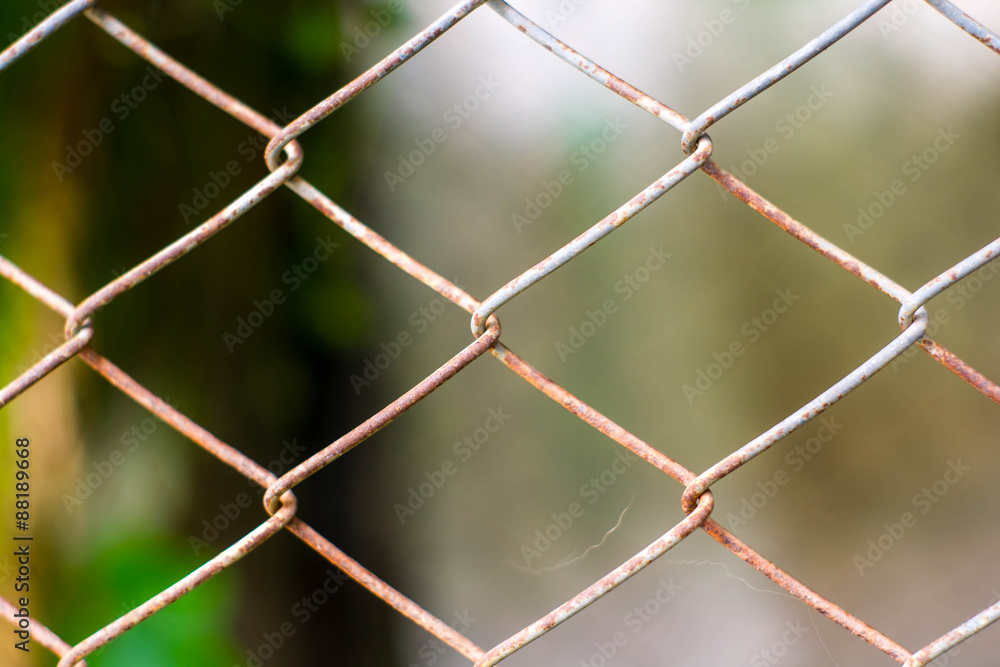 Fototapeta premium steel Cage