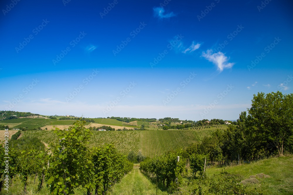 Agricultural cultivated fields in Italy