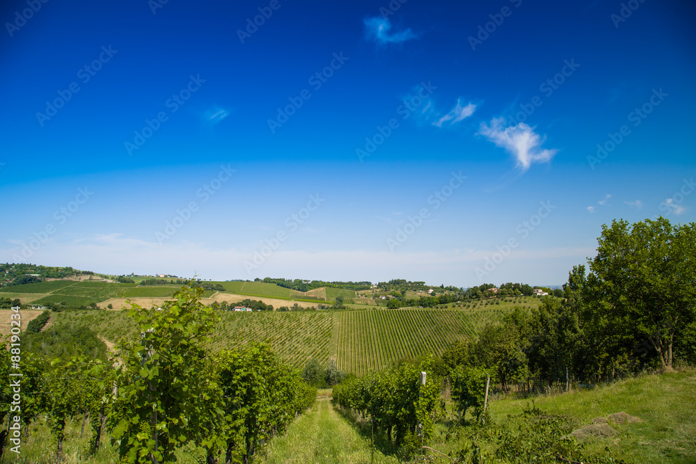 Agricultural cultivated fields in Italy Agricultural cultivated fields in Italy