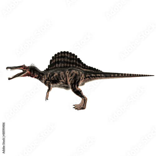 Spinosaurus © aleciccotelli