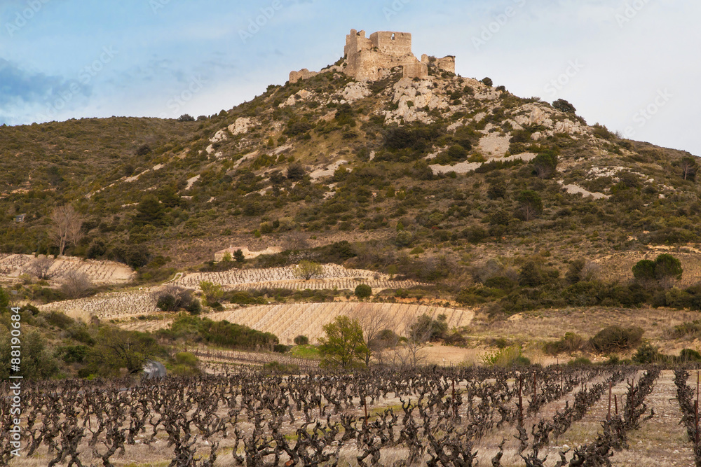Fototapeta premium Chateau Aguilar