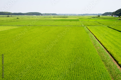 田園風景