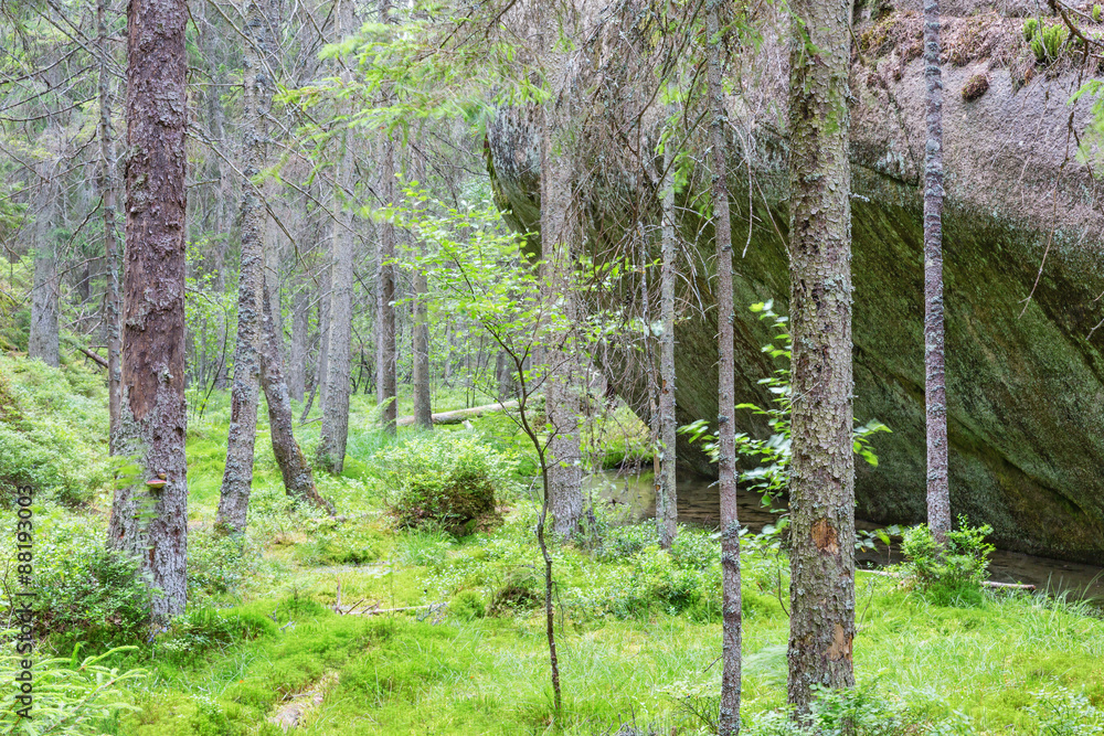 Fototapeta premium Big rocks in the forest
