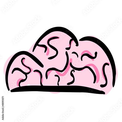Cervello