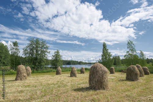 Fototapeta Traditional Finnish haystacks in a hayfield