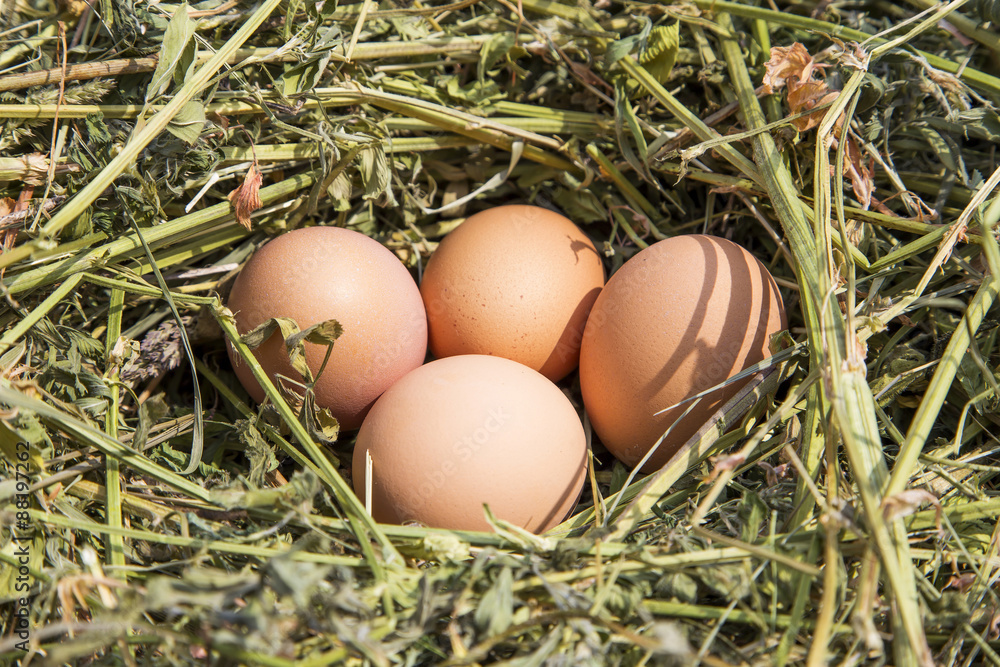 Country eggs Country eggs