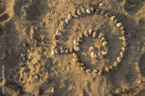someone assembled one big shell using a lot of shells on the sand at the beach