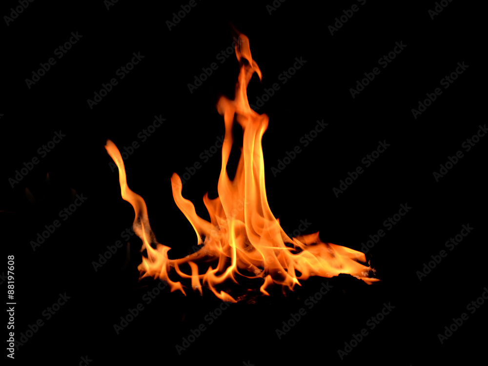 Fototapeta premium Fire flames on black background
