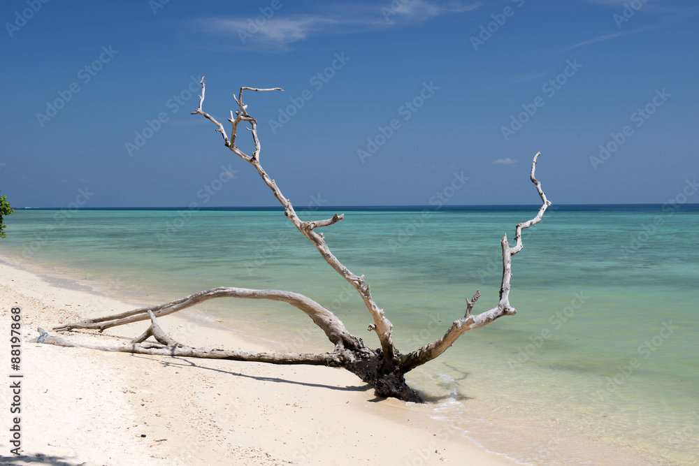 Branch on the beach.
Koh Ngai island, Thailand Branch on the beach.
Koh Ngai island, Thailand