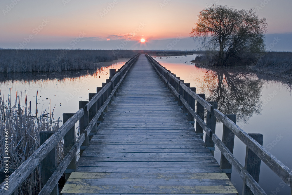 Sunset at the marsh boardwalk at Point Pelee, Canada Sunset at the marsh boardwalk at Point Pelee, Canada