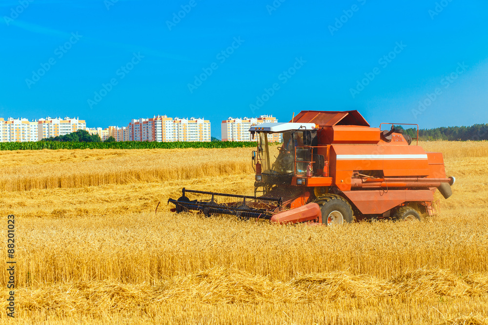 Obraz premium combine harvester