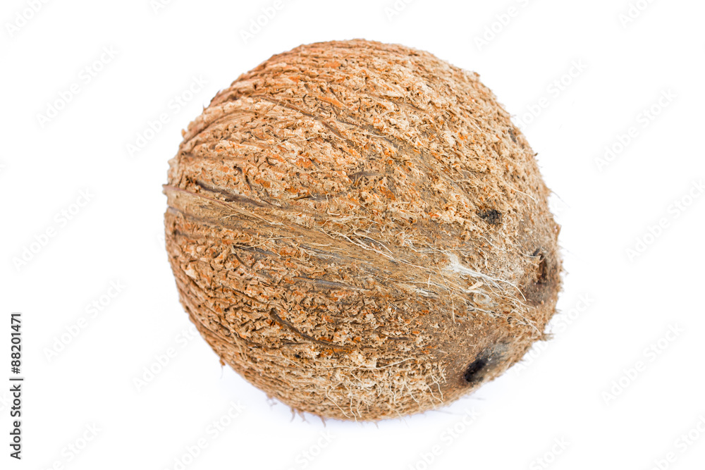 coconut coconut