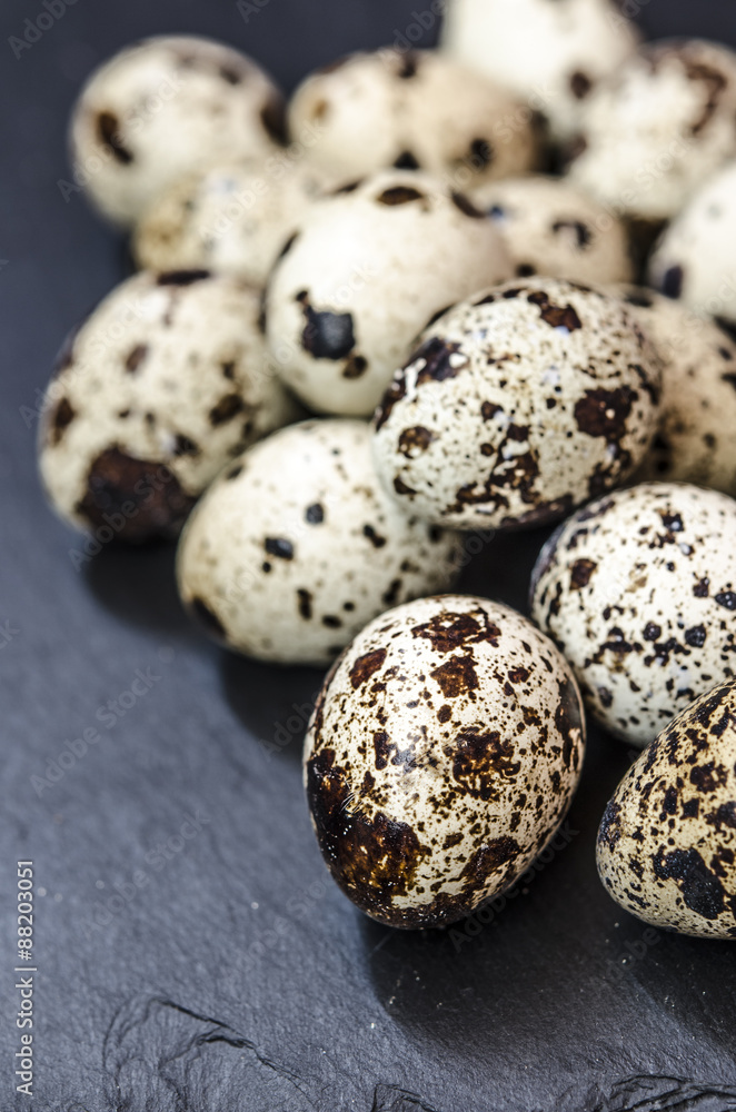 quail egg on a black stone plaque quail egg on a black stone plaque