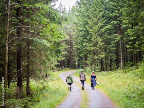 three people walking down road in forest