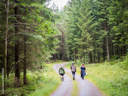 three people walking down road in forest