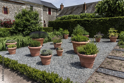 Garden in Cheverny Castle. Cheverny village, France. © dbrnjhrj