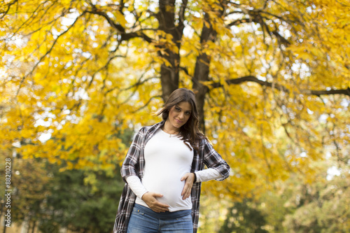 Pregnant woman in the autumn park