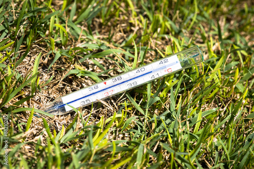 Thermometer on grass: concept image for global warming and the Earth is sick