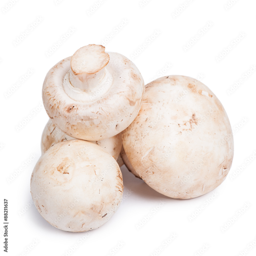 Champignon mushrooms Champignon mushrooms