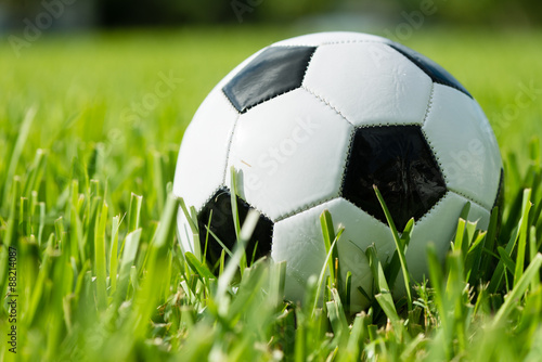 Soccer Ball  Futbol on Grass © mtsaride