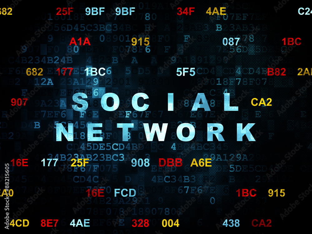 Obraz premium Social network concept: Social Network on Digital background