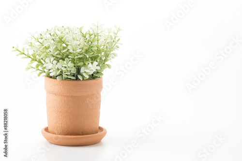 Fototapeta Naklejka Na Ścianę i Meble -  flowerpot