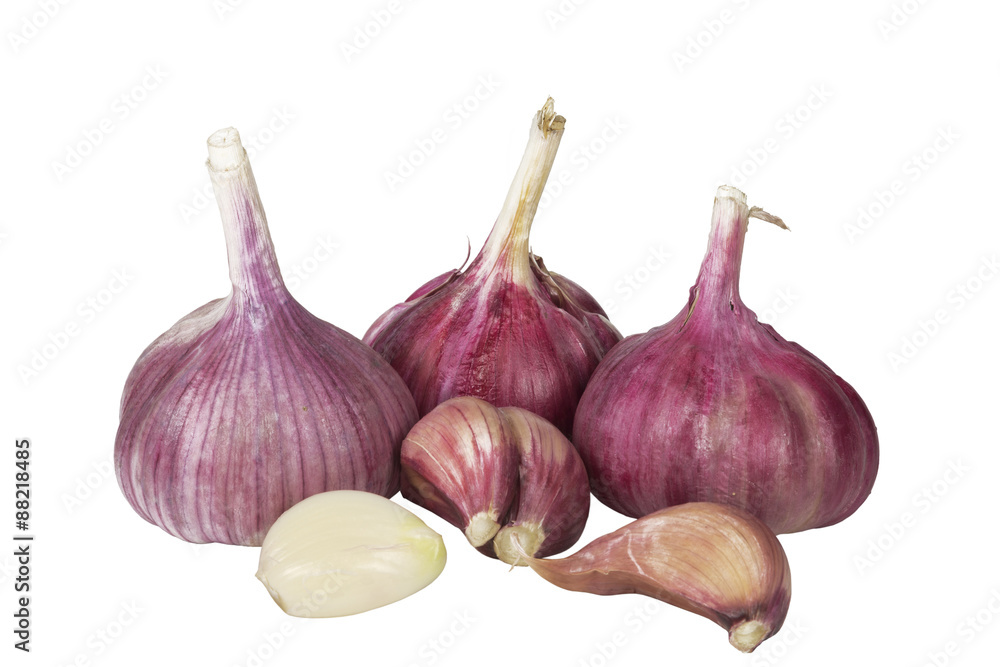 Fototapeta premium Garlic isolated on white background