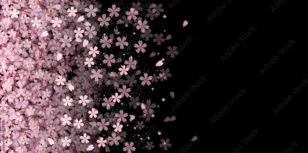 Fototapeta premium 桜 花 背景