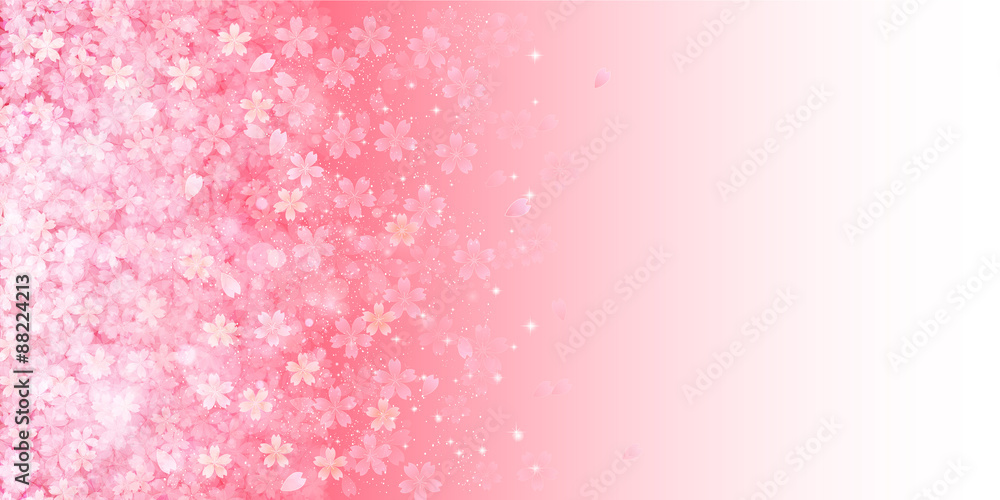 Fototapeta premium 桜 花 背景