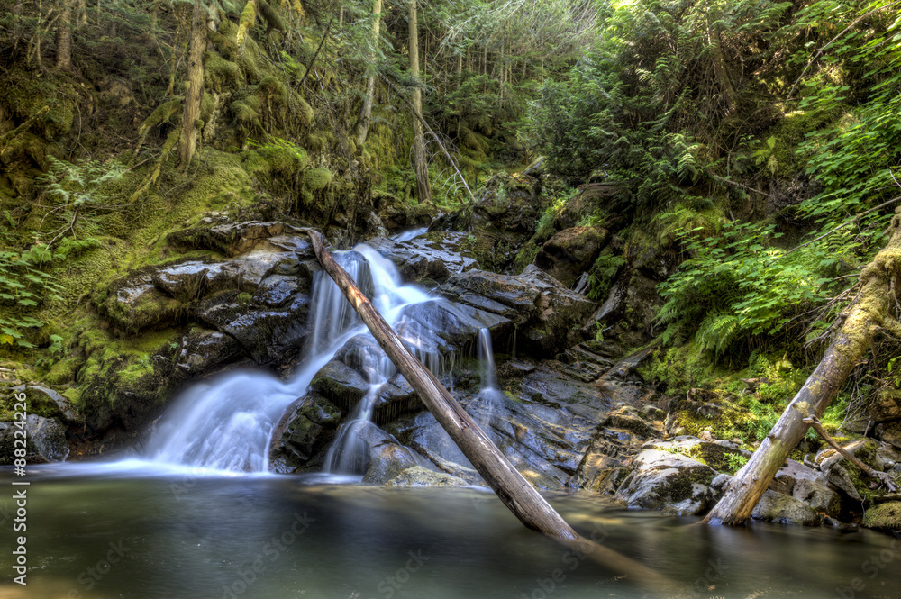 Fototapeta premium Lush snow creek falls.
