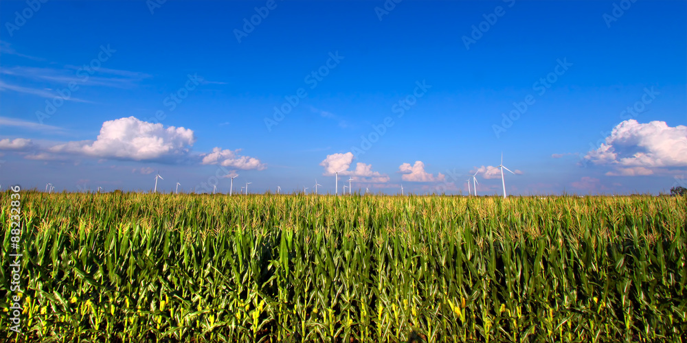 Obraz premium Illinois Agricultural Land