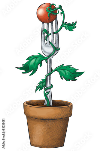 A potted tomato vine winds up a fork with a cherry tomato on top in a hand drawn ink and watercolor style.