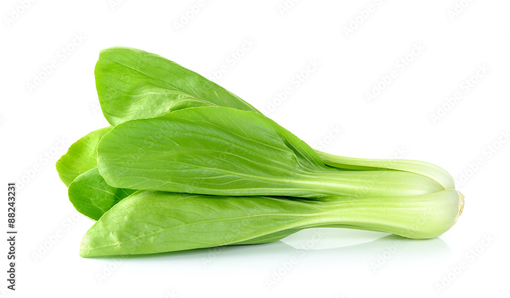 Bok choy vegetable isolated on the white background Bok choy vegetable isolated on the white background
