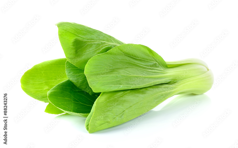 Bok choy vegetable isolated on the white background Bok choy vegetable isolated on the white background