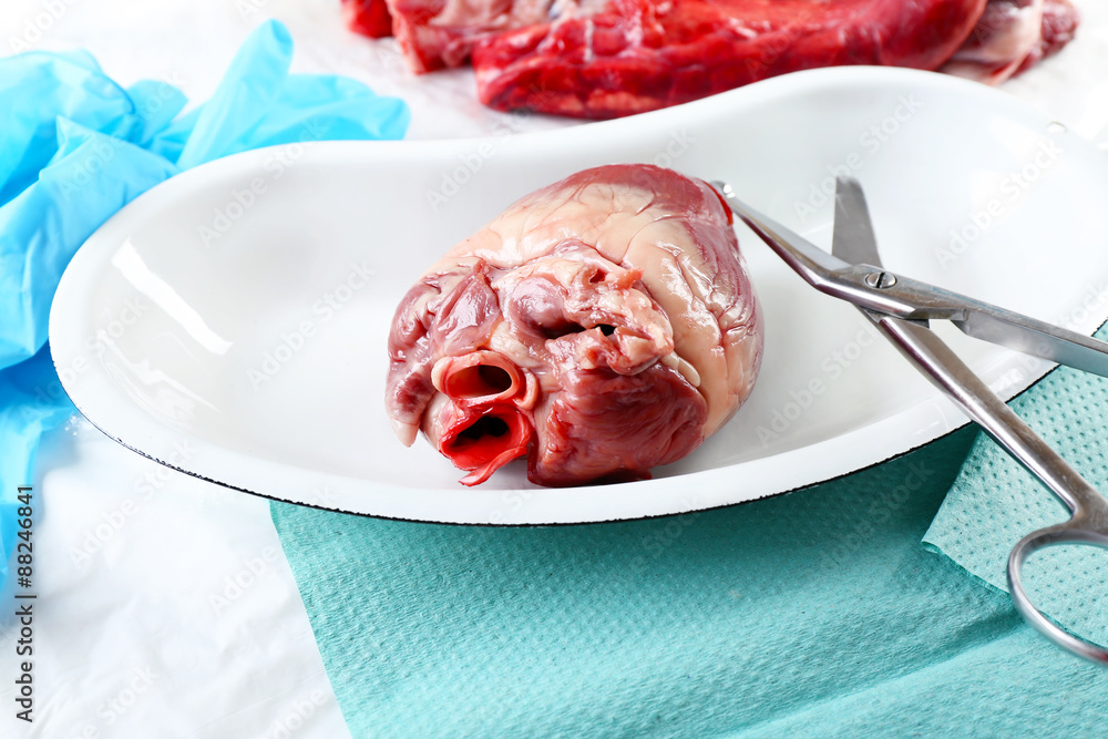 Heart organ in medical metal tray with tools on table close up Heart organ in medical metal tray with tools on table close up