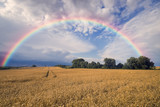 colorful rainbow after the storm passing over a field of grain 