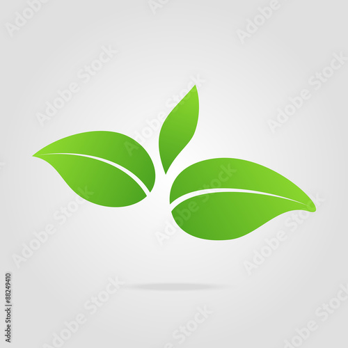 Eco icon green leaf